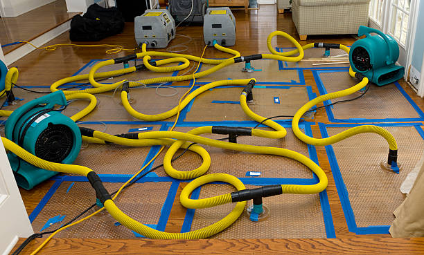 Professional Structural Drying And Dehumidification technician working in Savannah, OH